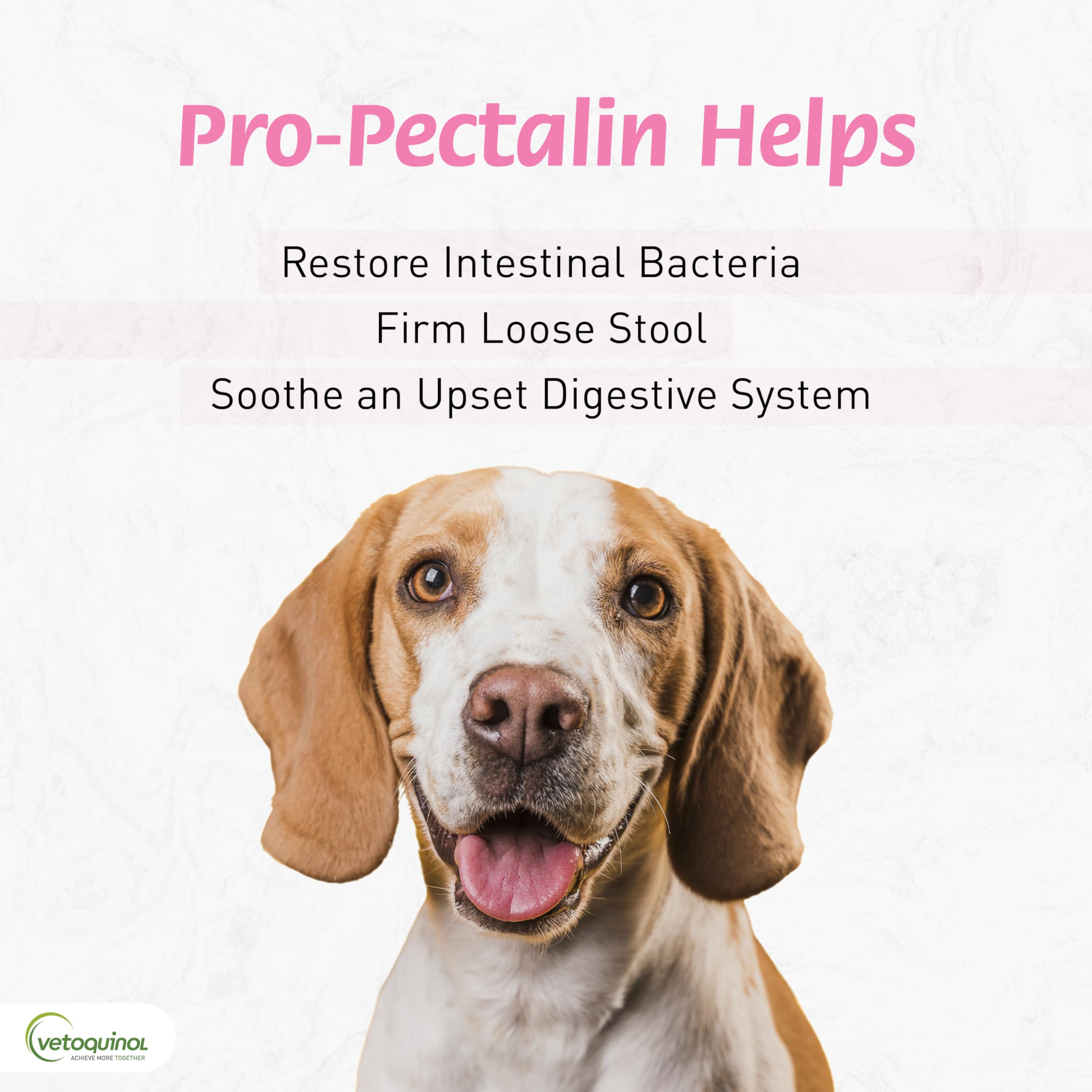 Closeup of Vetoquinol Pro-Pectalin chewable tablets, gentle and palatable for dogs and cats.