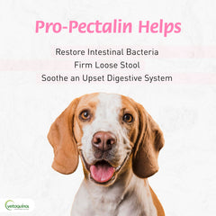 Closeup of Vetoquinol Pro-Pectalin chewable tablets, gentle and palatable for dogs and cats.