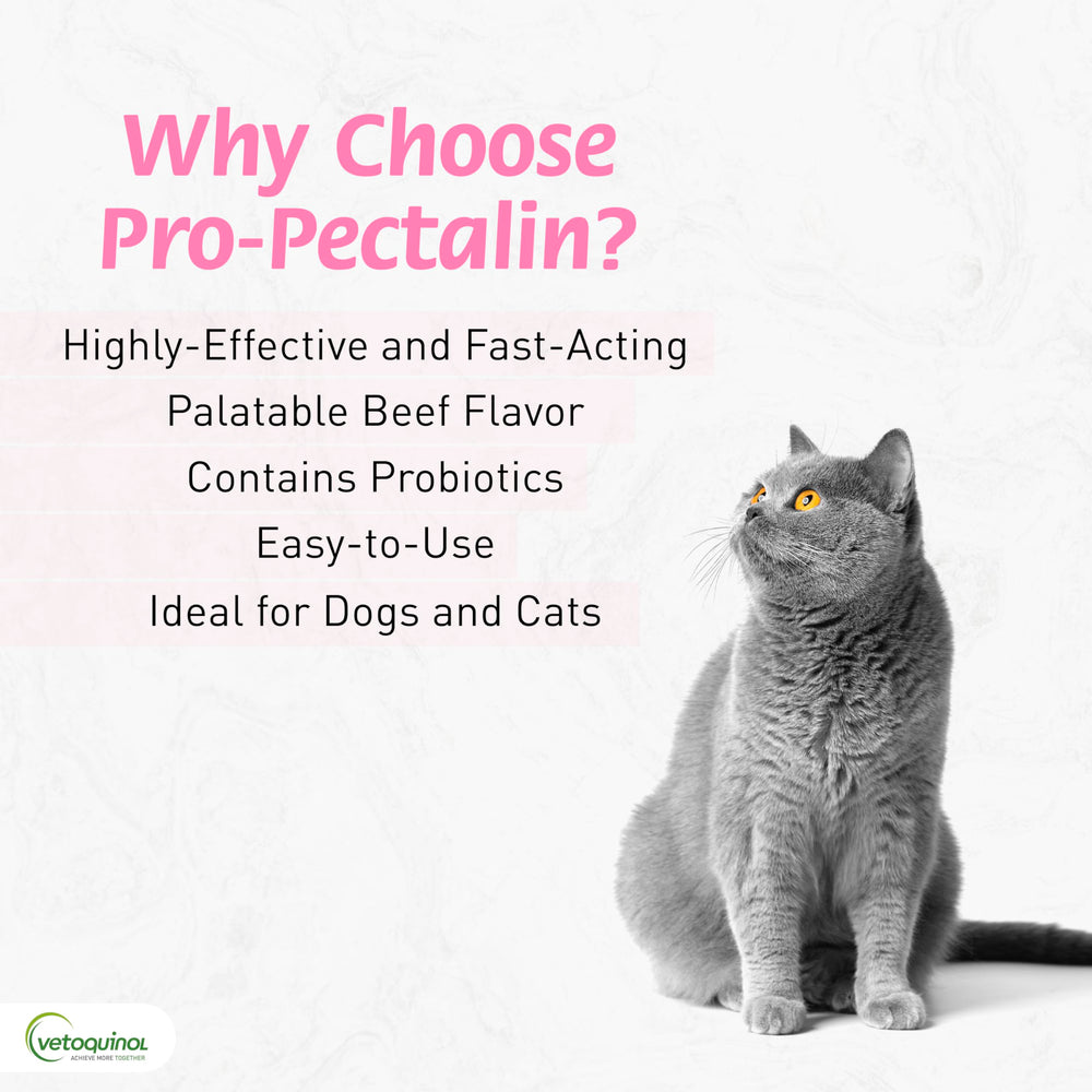Vetoquinol Pro-Pectalin tablets being dispensed for easy administration.
