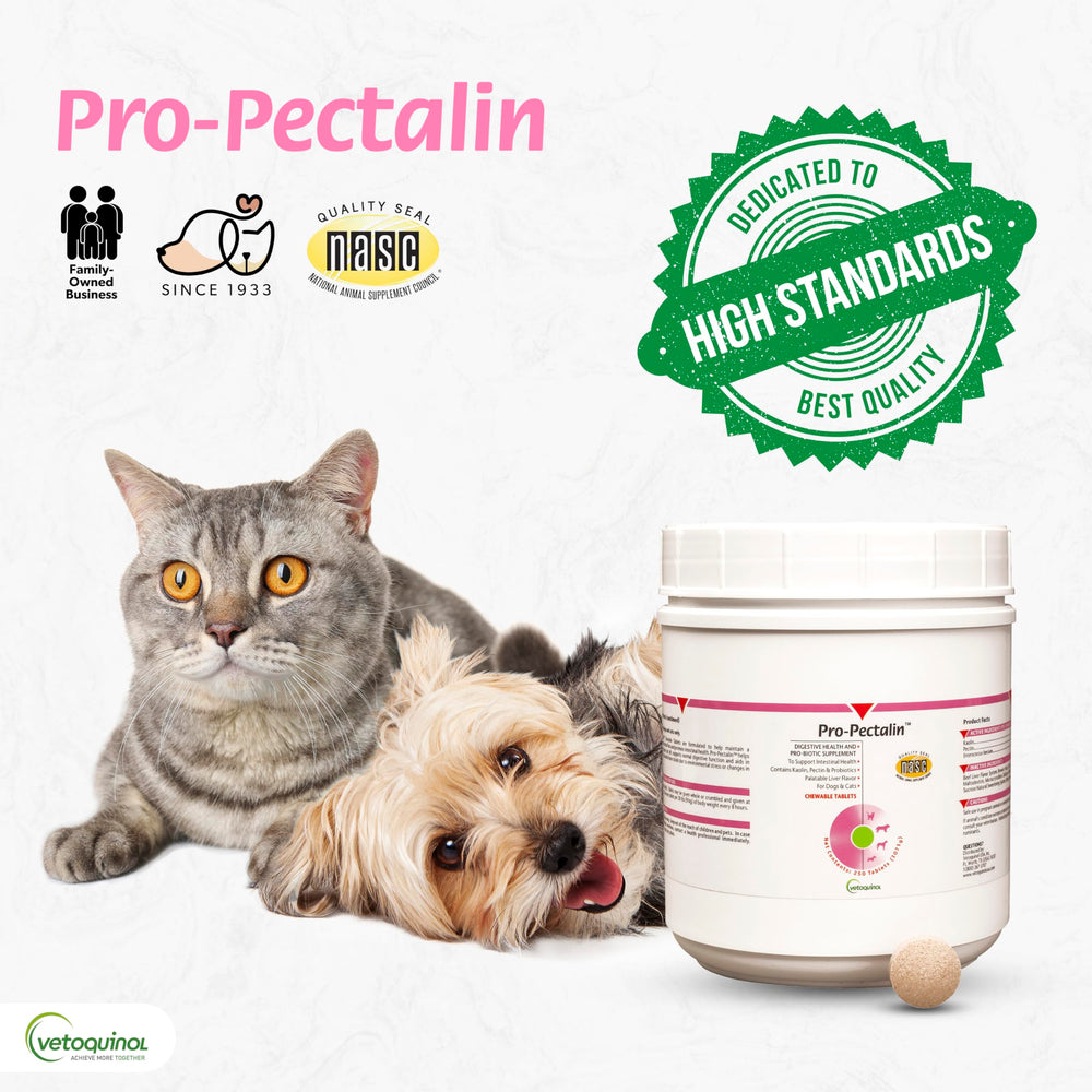 Pro-Pectalin usage tips graphic supports situational diarrhea relief.