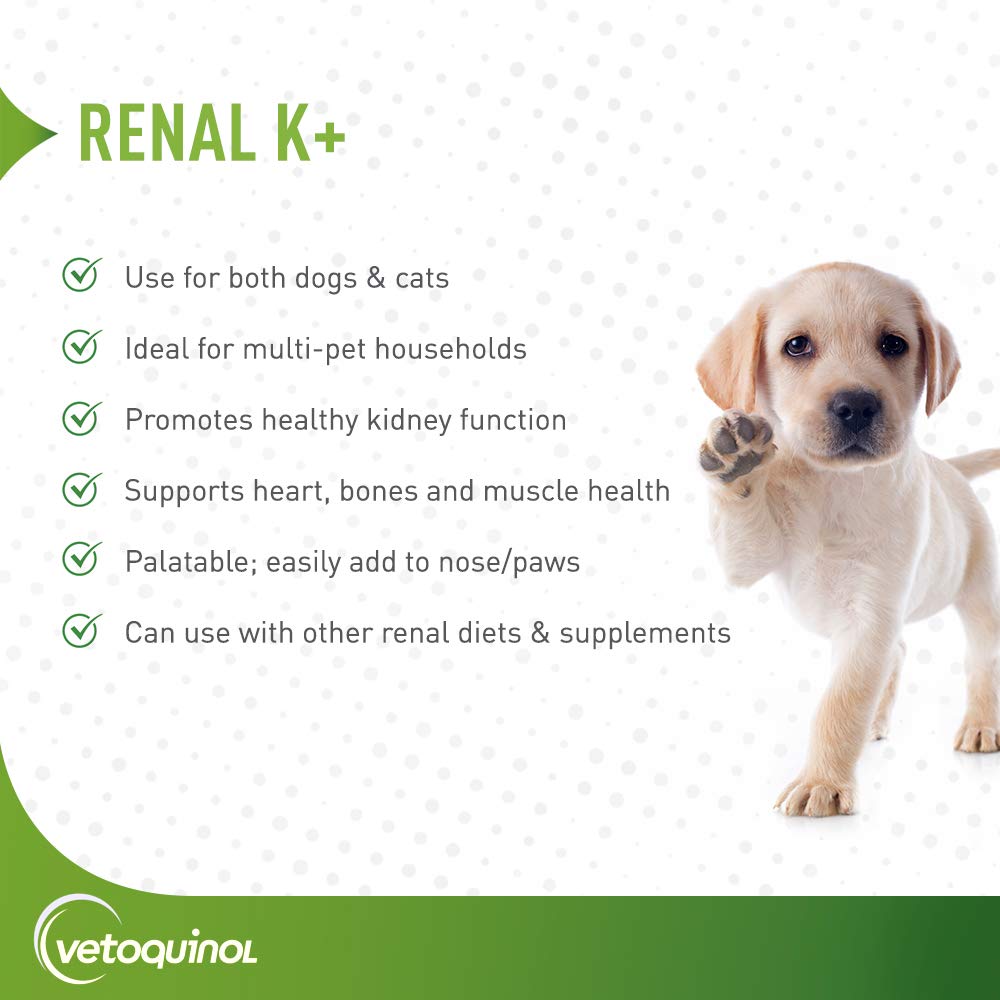 Vetoquinol Renal K gel texture close-up with maple flavor for easy administration.
