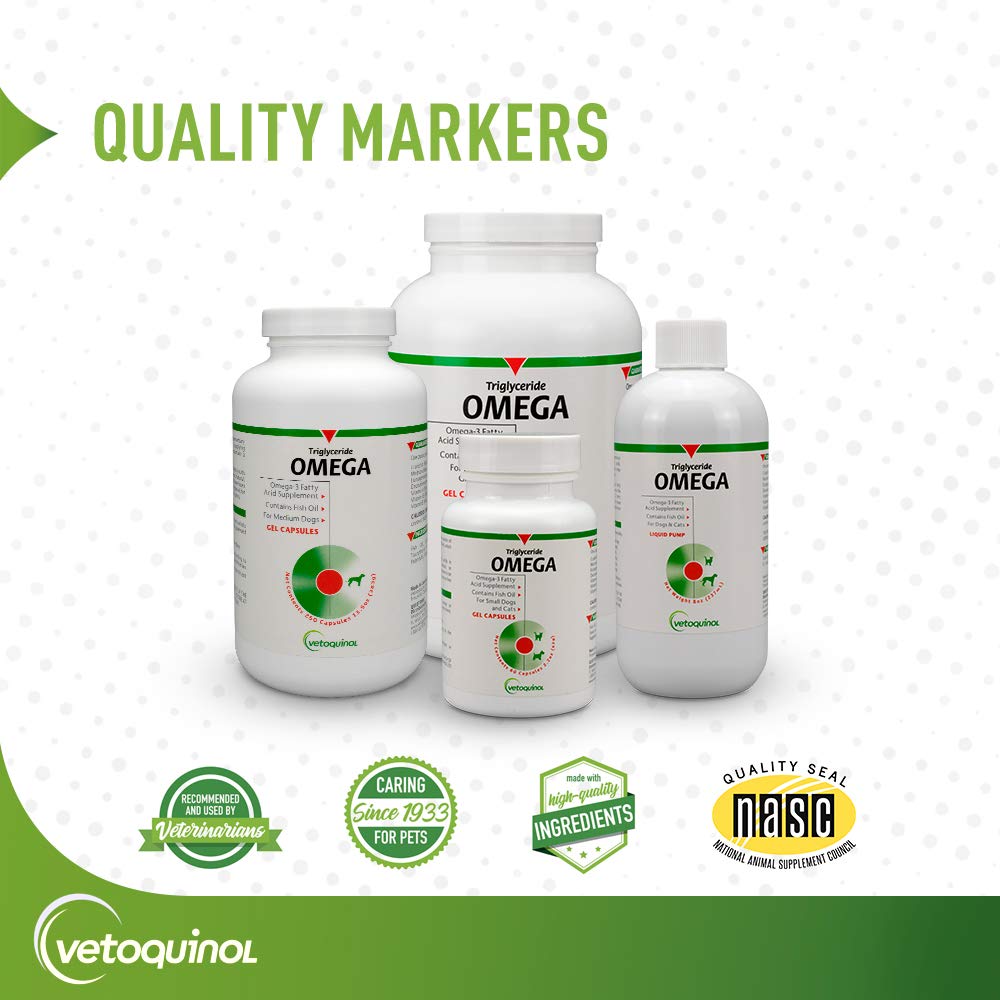 Active large dog movement supported by omega-3 for joints.