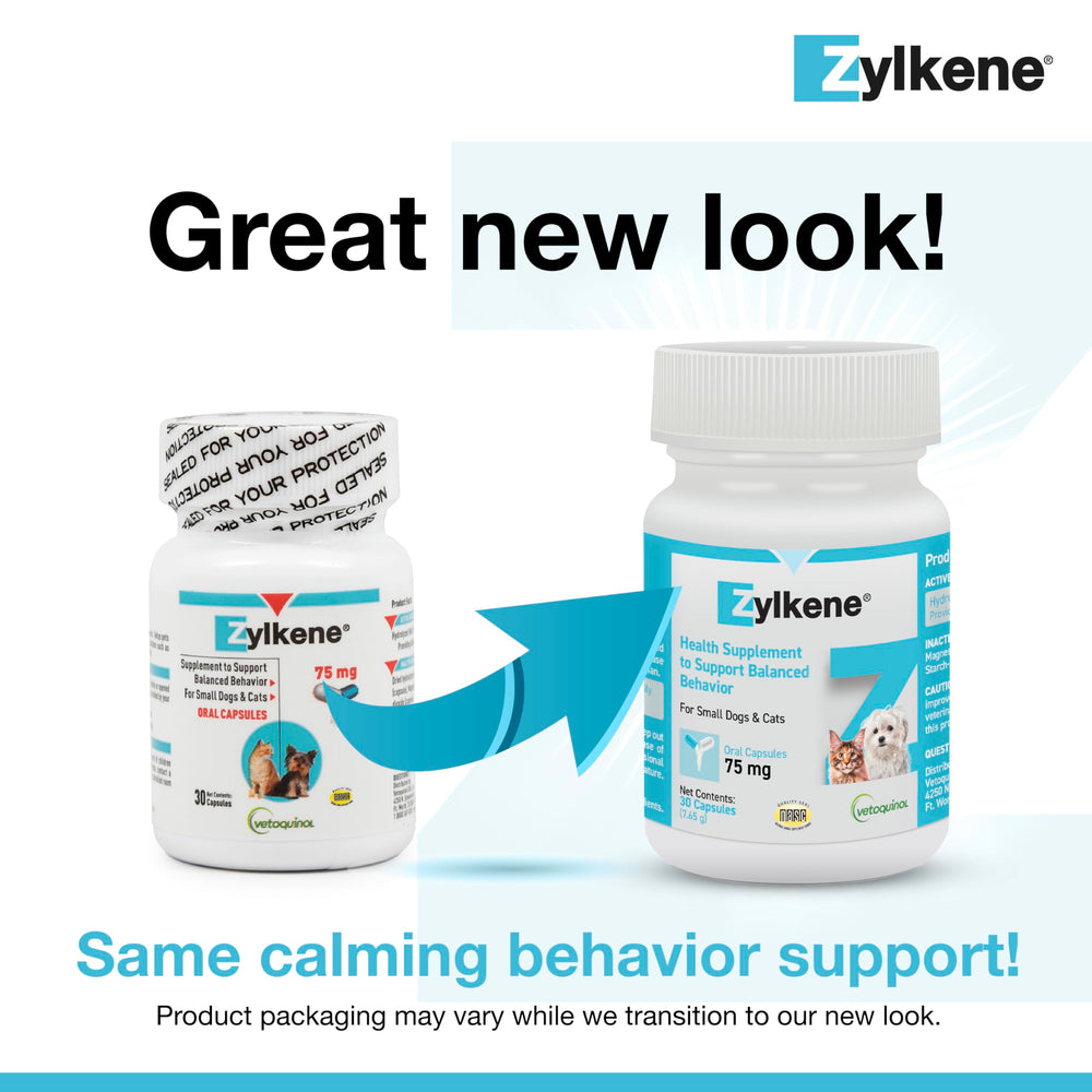 Zylkene capsules opened and poured onto pet food to aid calmness.