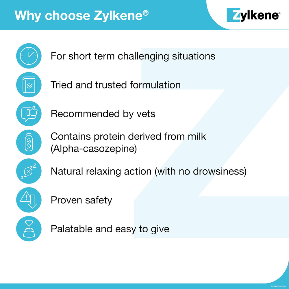 Vetoquinol Zylkene dog capsule on the floor in a calm routine.