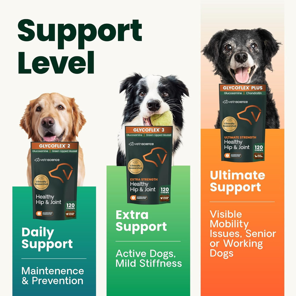VetriScience antioxidants joint care chews aid daily activity and overall joint health