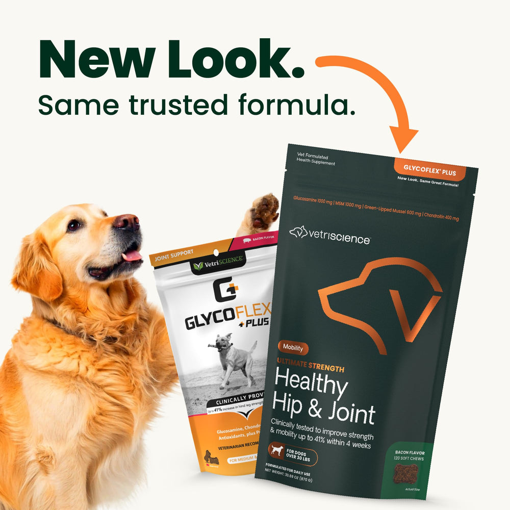 VetriScience chondroitin dog joint support chews help hind-end comfort