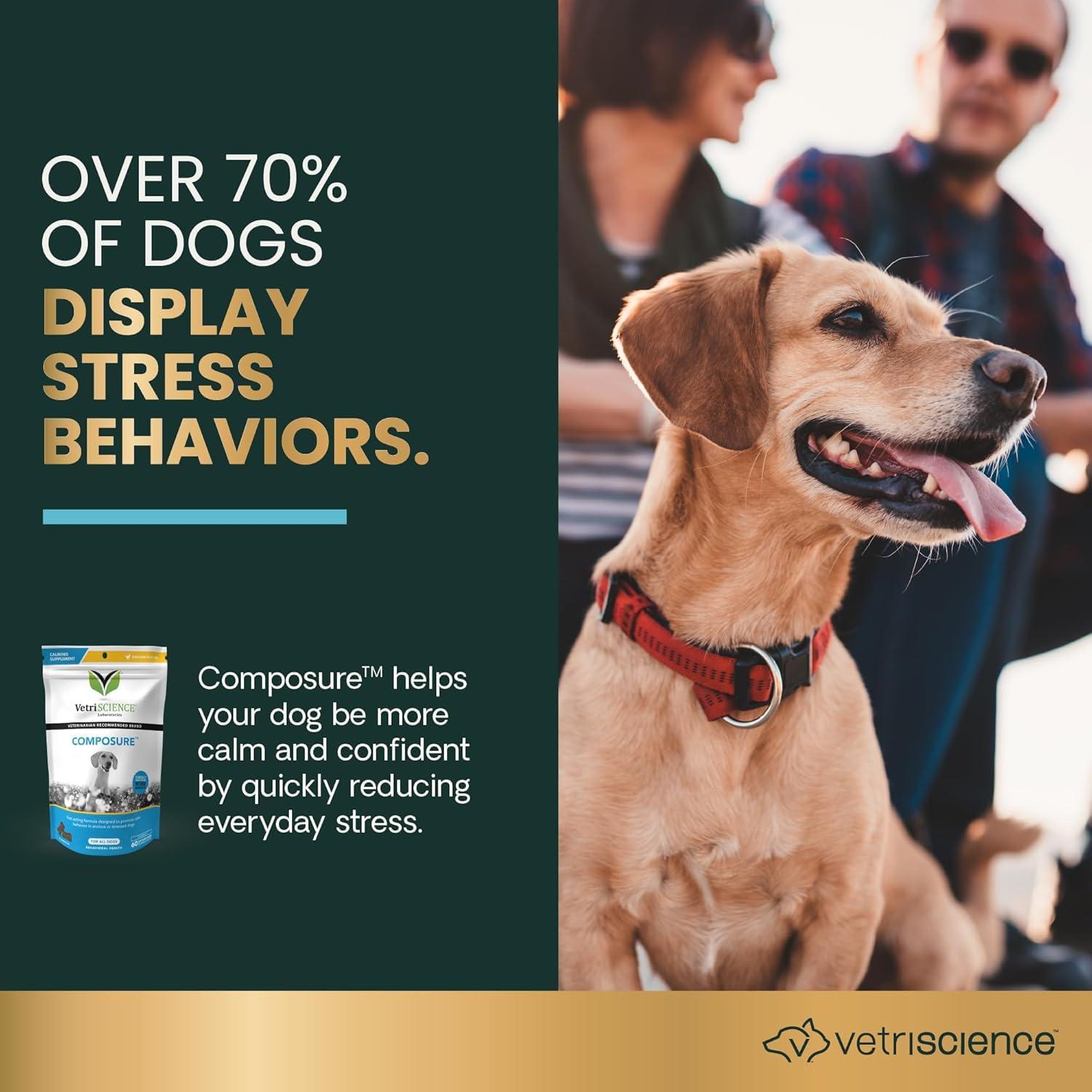 VetriScience Calm & Confident bottle label close-up highlighting calming blend for anxious dogs.