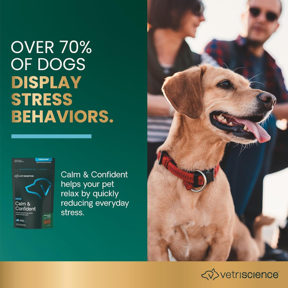 VetriScience Calm & Confident chews close-up, tasty peanut butter treats for dogs.