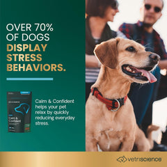 VetriScience Calm & Confident chews close-up, tasty peanut butter treats for dogs.