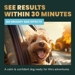 VetriScience Calm & Confident chews close-up with bacon flavor for easy administration.