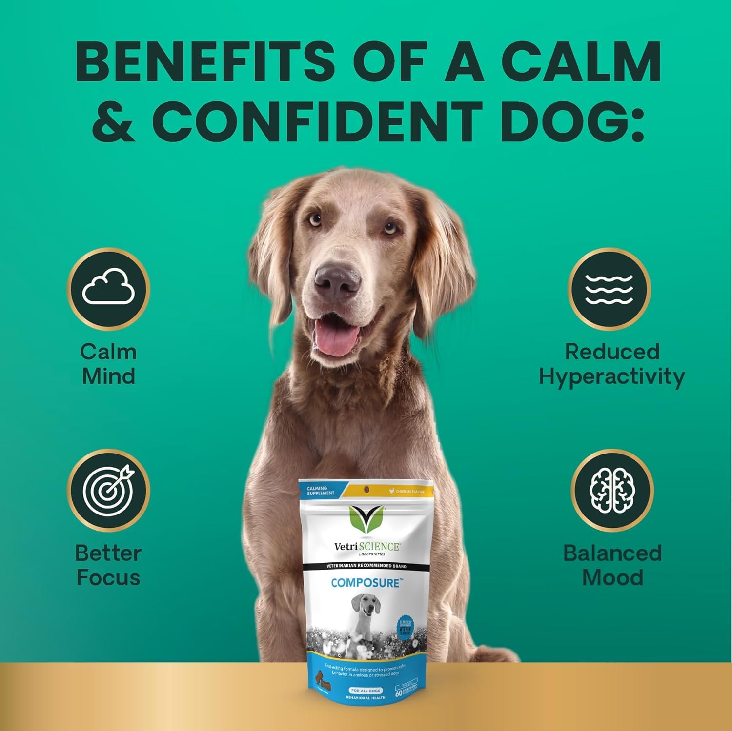 VetriScience Calm & Confident dog resting calmly at home after dosing.