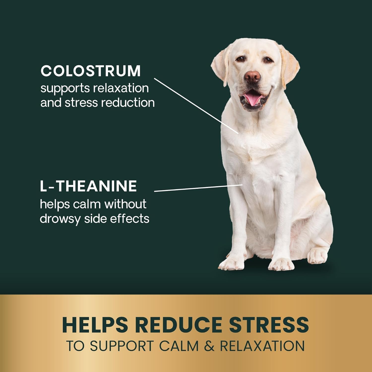 VetriScience Calm & Confident packaging front showing NASC-certified formula.