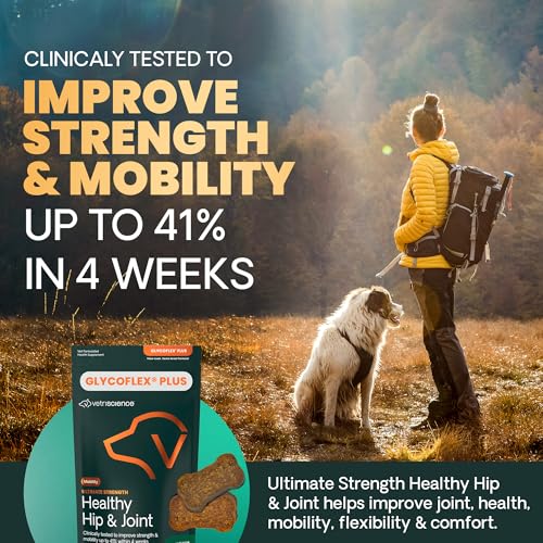 VetriScience glucosamine MSM green-lipped mussel chews promote joint lubrication in dogs