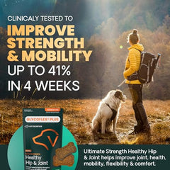 VetriScience glucosamine MSM green-lipped mussel chews promote joint lubrication in dogs