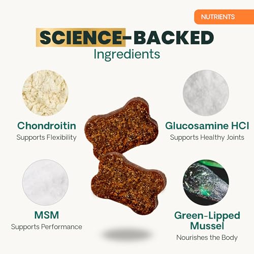 VetriScience GlycoFlex Plus bacon-flavored chews offer tasty joint support for dogs