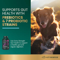 VetriScience gut health bottle 180-count packaging emphasizing convenience for ongoing supplementation.