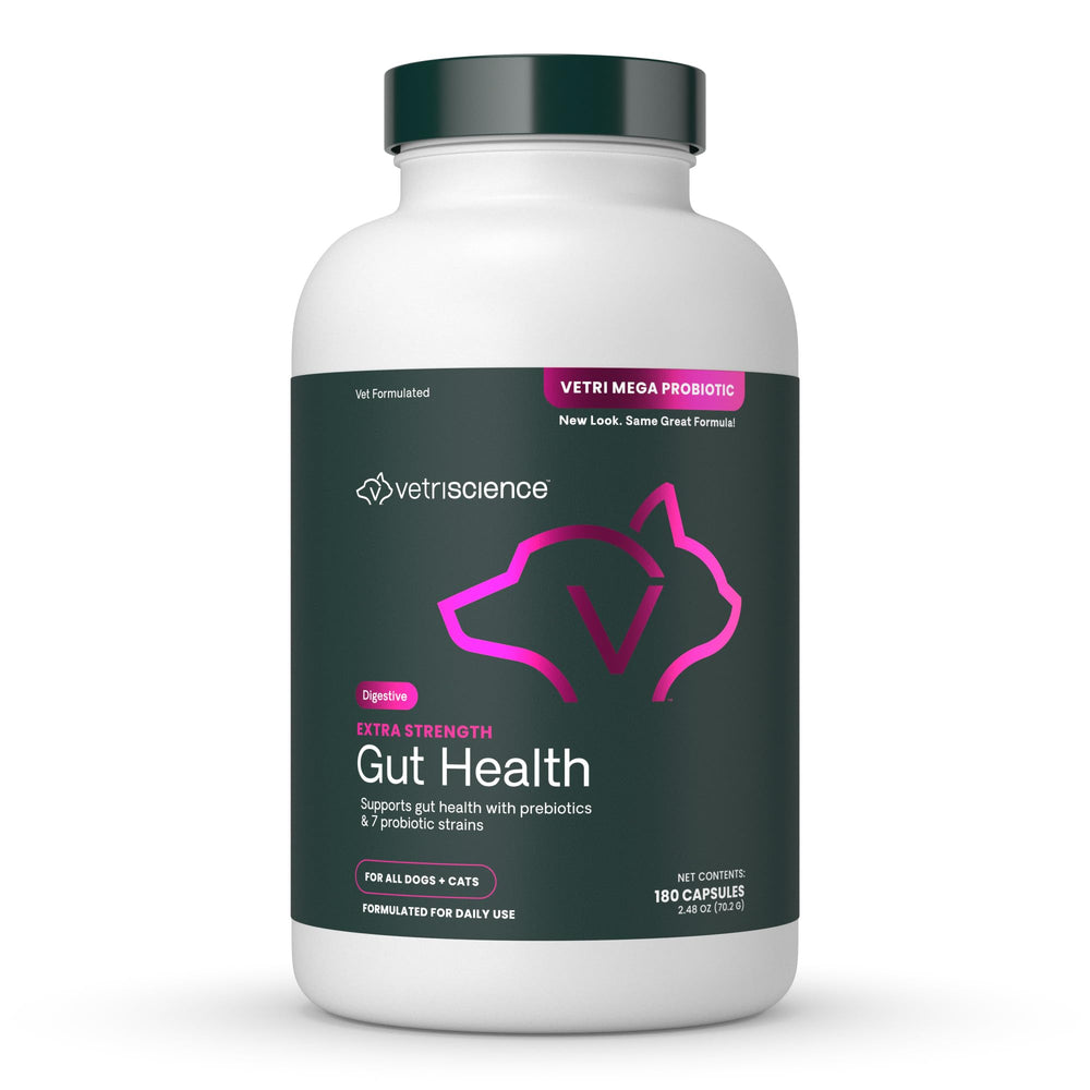 VetriScience gut health capsules close-up for easy administration and digestion support.