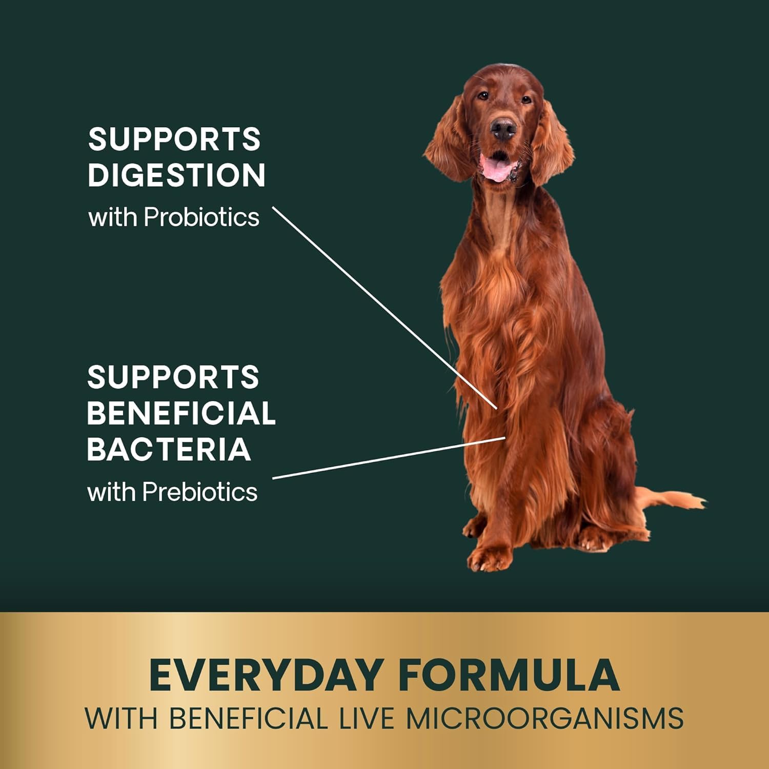 VetriScience Gut Health Chews ready for daily dog use.