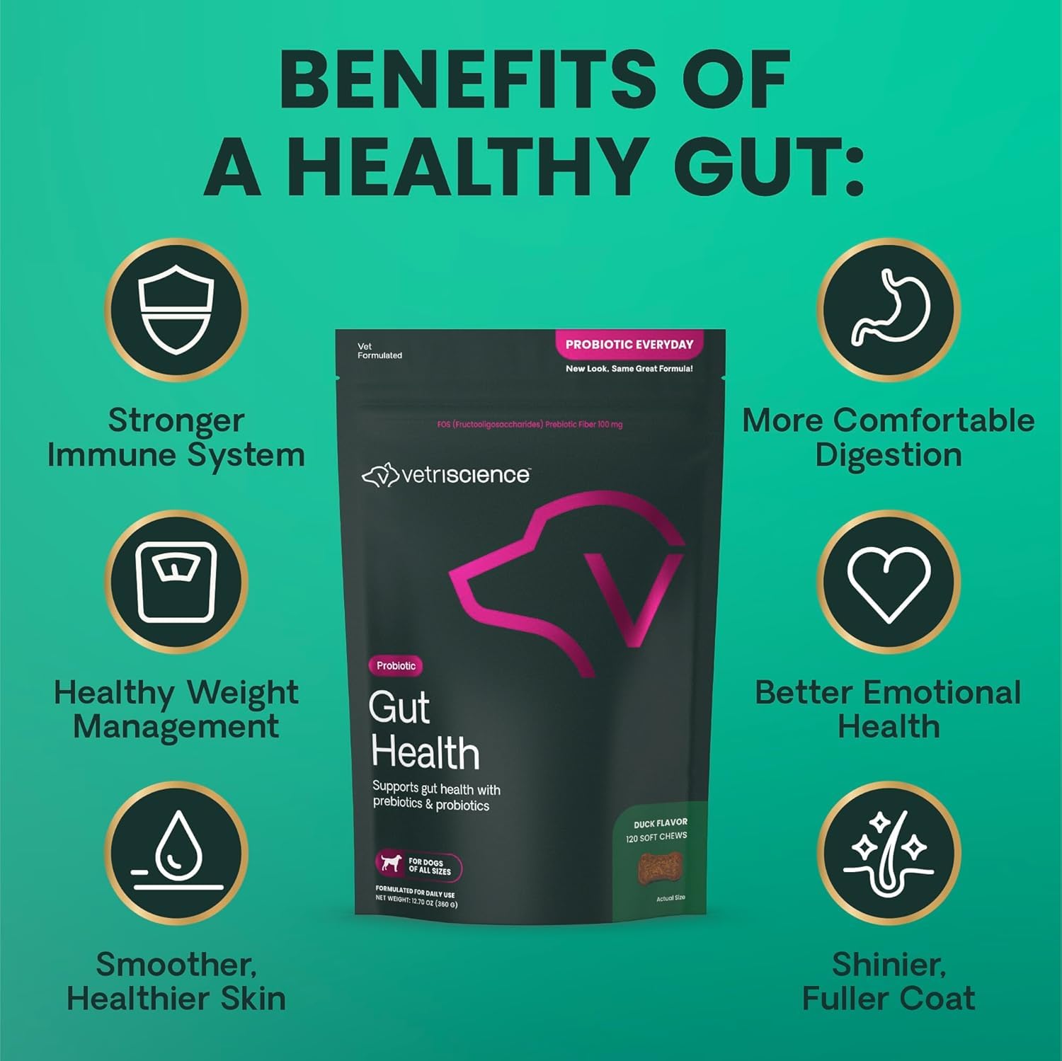 VetriScience Gut Health Chews close-up of ingredients for digestion support.