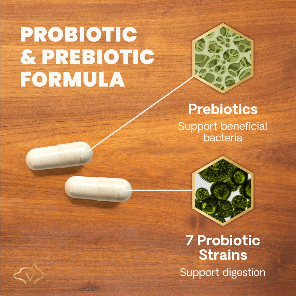 VetriScience gut health with FOS prebiotic highlighting prebiotic support for gut microbiome balance.