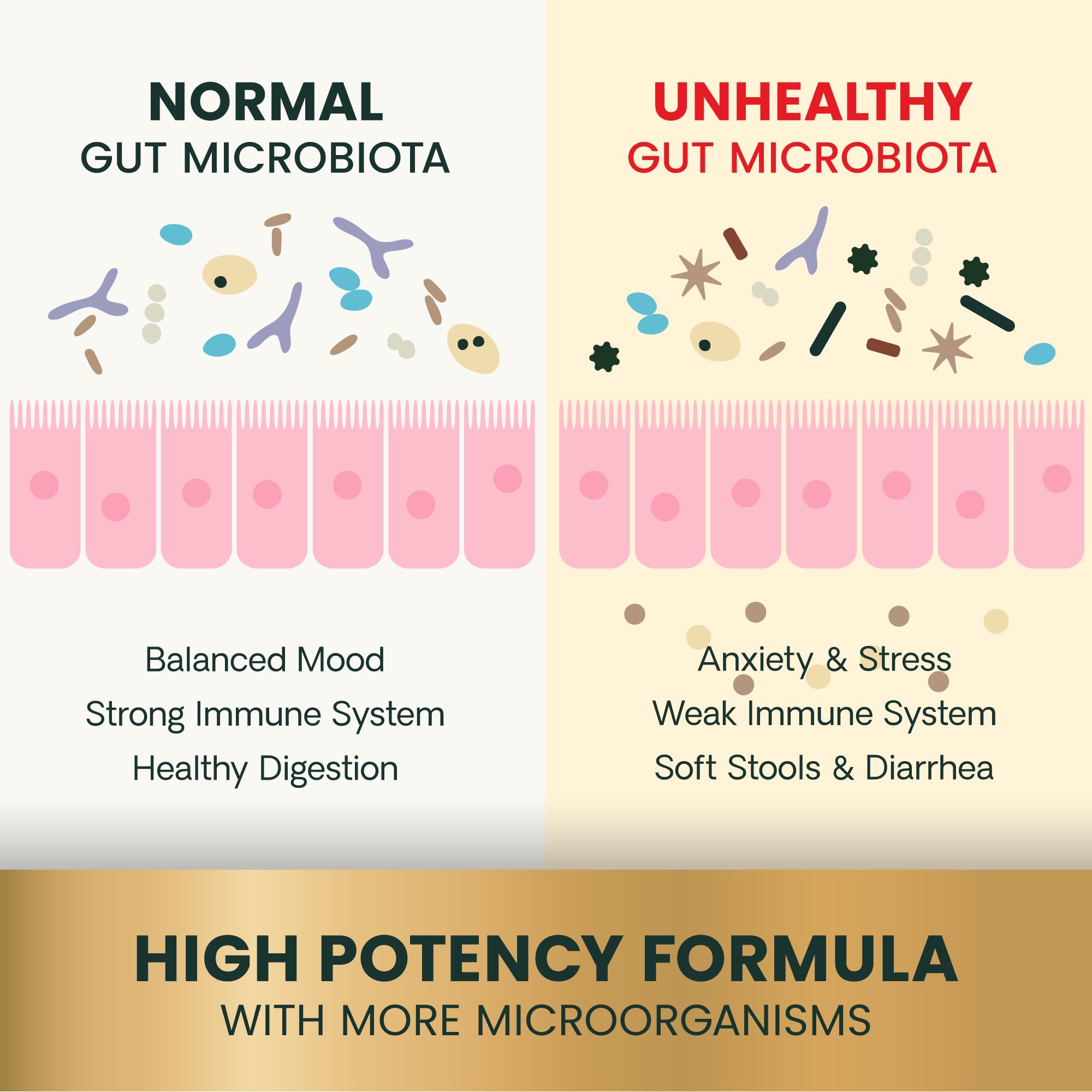 VetriScience multi-strain, dairy-free probiotics for pets with sensitivities and natural balance.