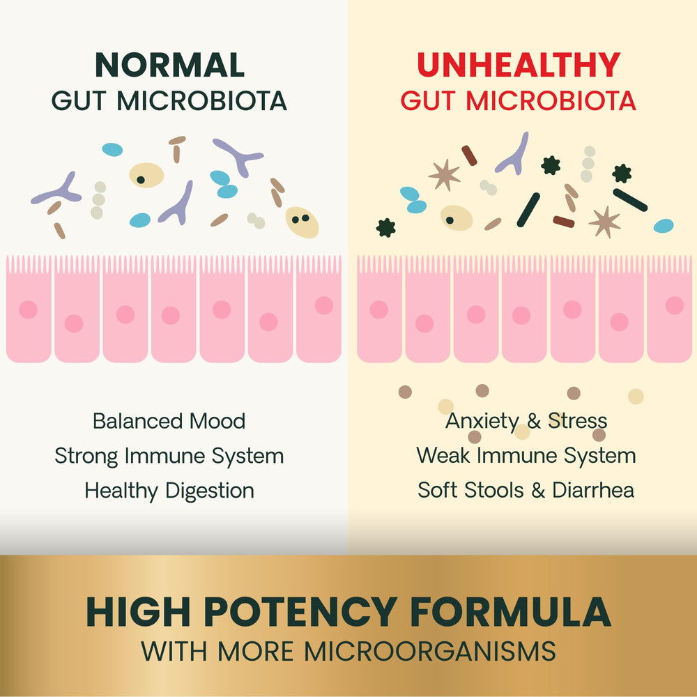 VetriScience multi-strain, dairy-free probiotics for pets with sensitivities and natural balance.