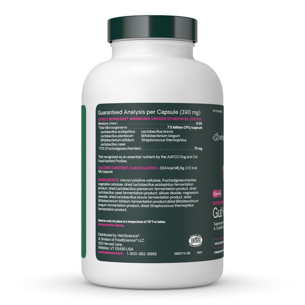 VetriScience gut health image suggesting potential skin and coat benefits through gut balance.