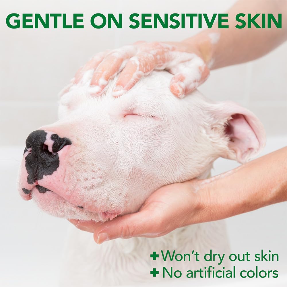 Bath time scene with Vet's Best Allergy Itch Relief Shampoo ideal for regular grooming