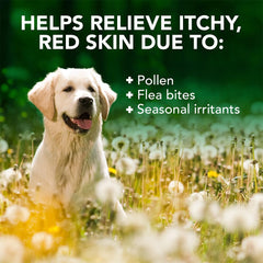 Vet's Best Allergy Itch Relief Shampoo featuring tea tree oil for soothing irritated skin