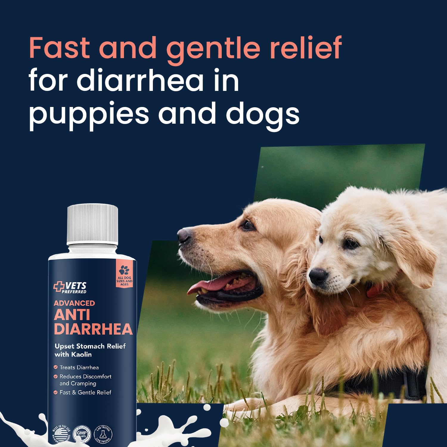 Vets Preferred all-breed digestive support for varied dog sizes.