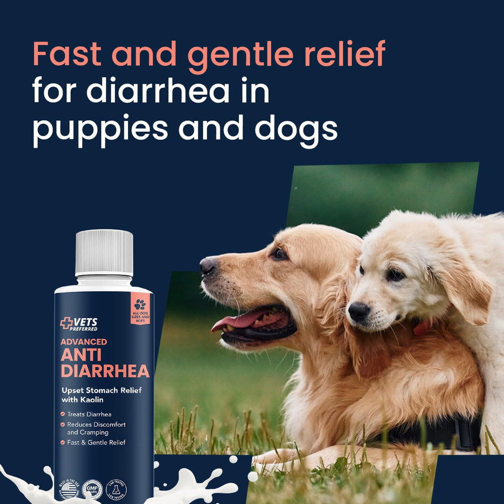 Vets Preferred all-breed digestive support for varied dog sizes.