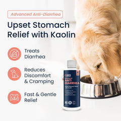 Vets Preferred kaolin formula dog digestive health for upset stomach symptoms.