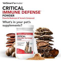 VetSmart Formulas turkey tail mushroom close-up illustrating immune support for pets.