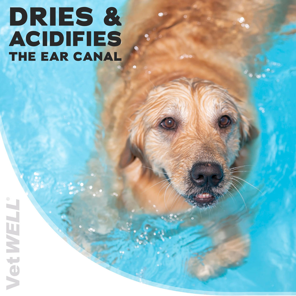 VetWELL Nettoyant Oreilles, applicateur doux facilitant l’utilisation chez chiens et chats.