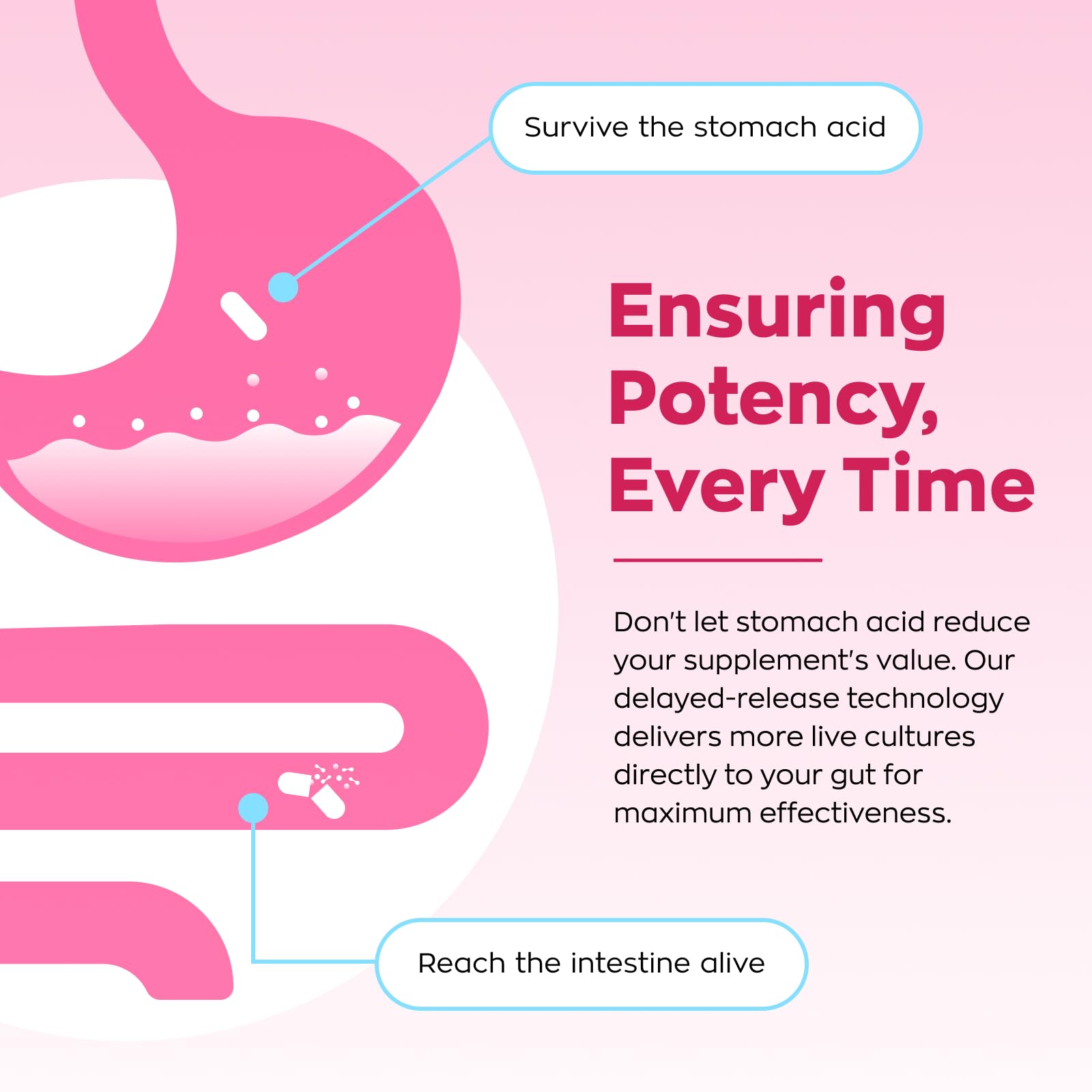 Vevoec Gynable triple-shield technology protects probiotic potency.