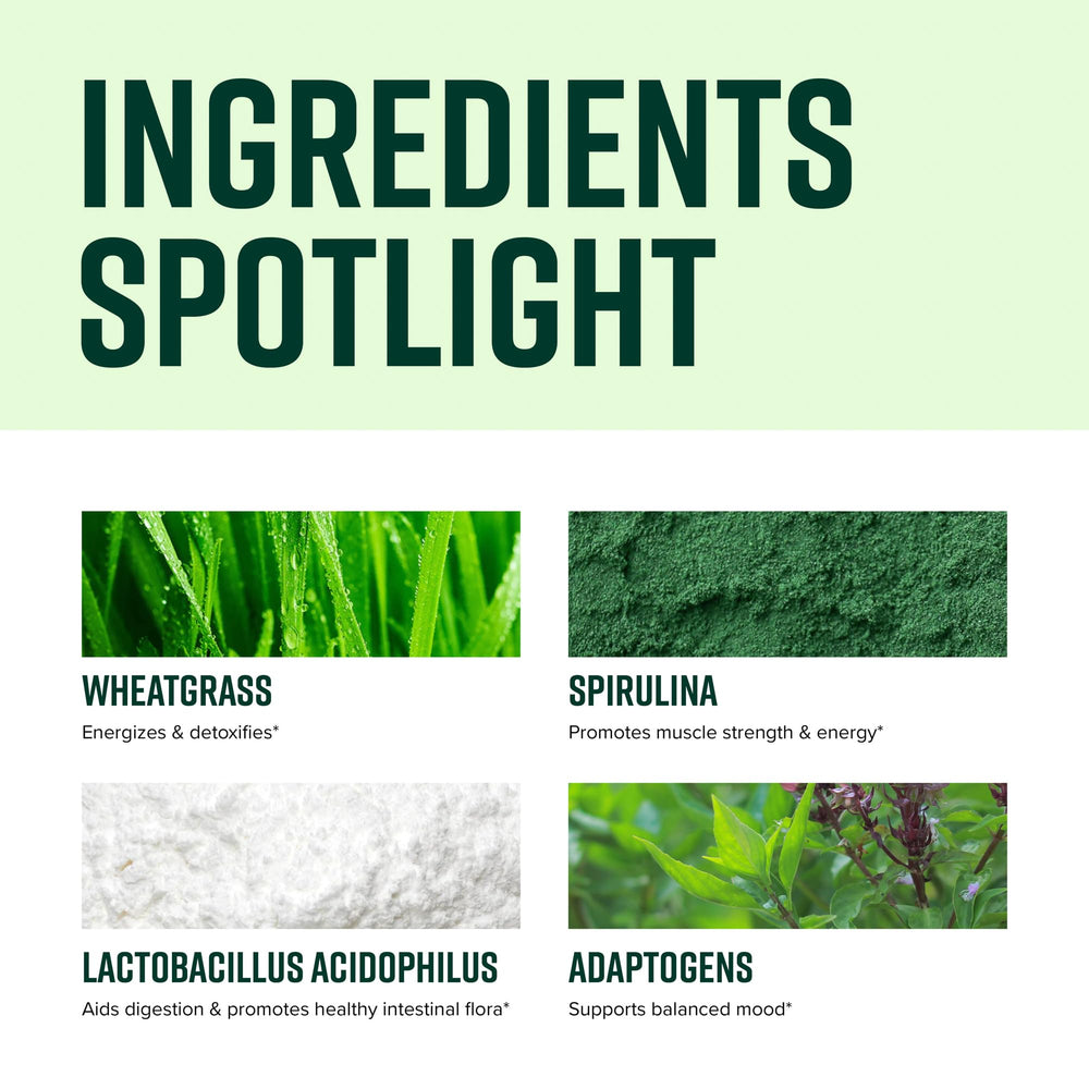 Glass of Vibrance green smoothie highlighting a plant-powered breakfast option.