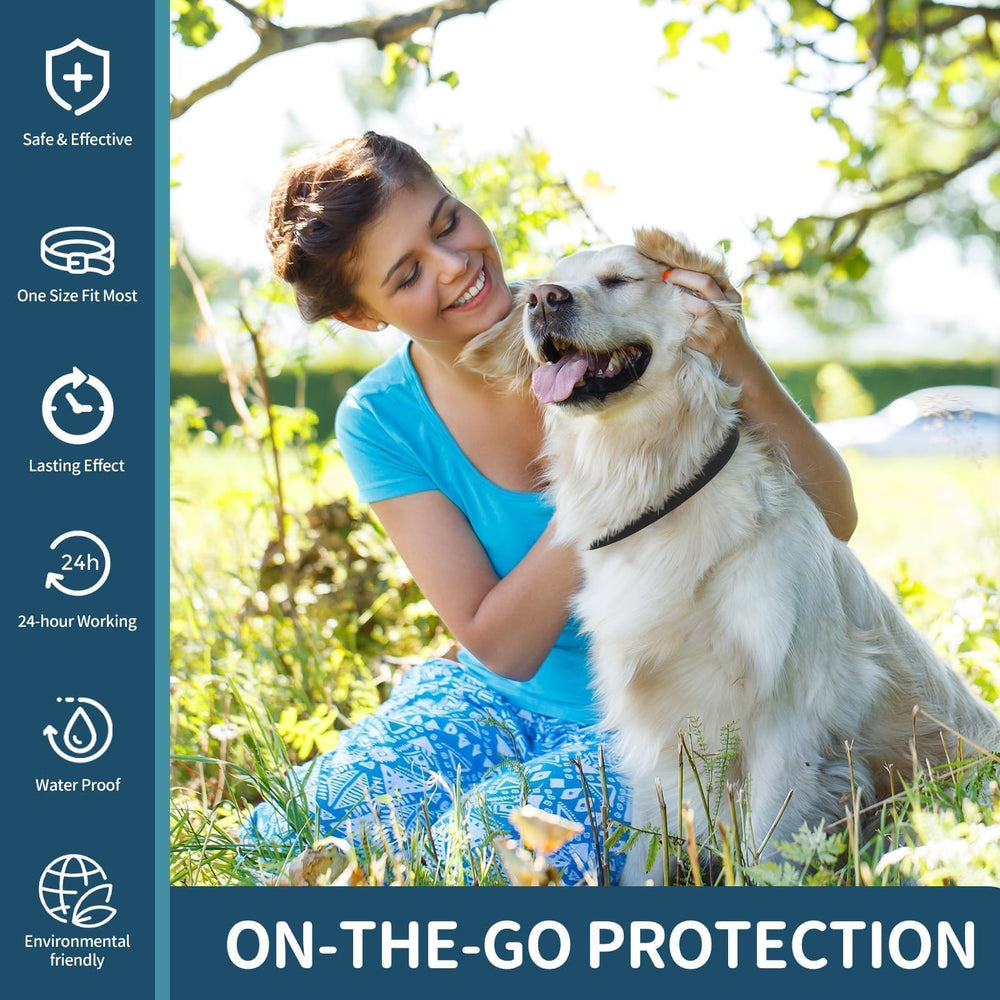 VICSOM dog collar metal clasp – secure fit during active play
