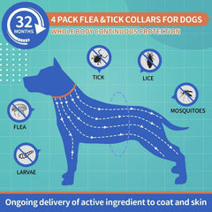 VICSOM adjustable dog collar worn on a dog for secure, comfortable fit.