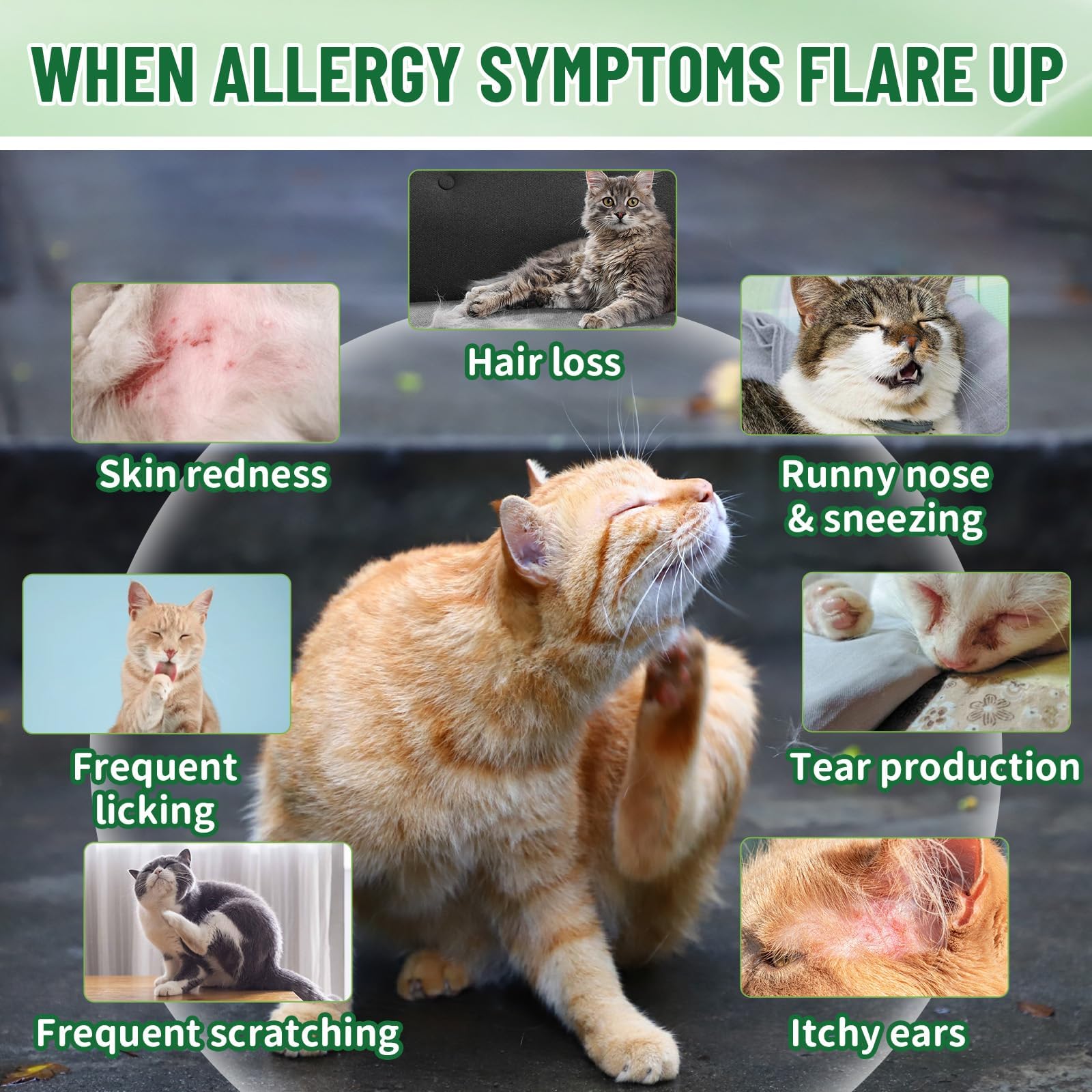 VICSOM allergy relief dropper image highlights convenient administration for daily use.