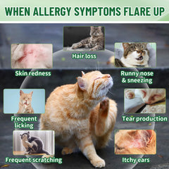VICSOM allergy relief dropper image highlights convenient administration for daily use.