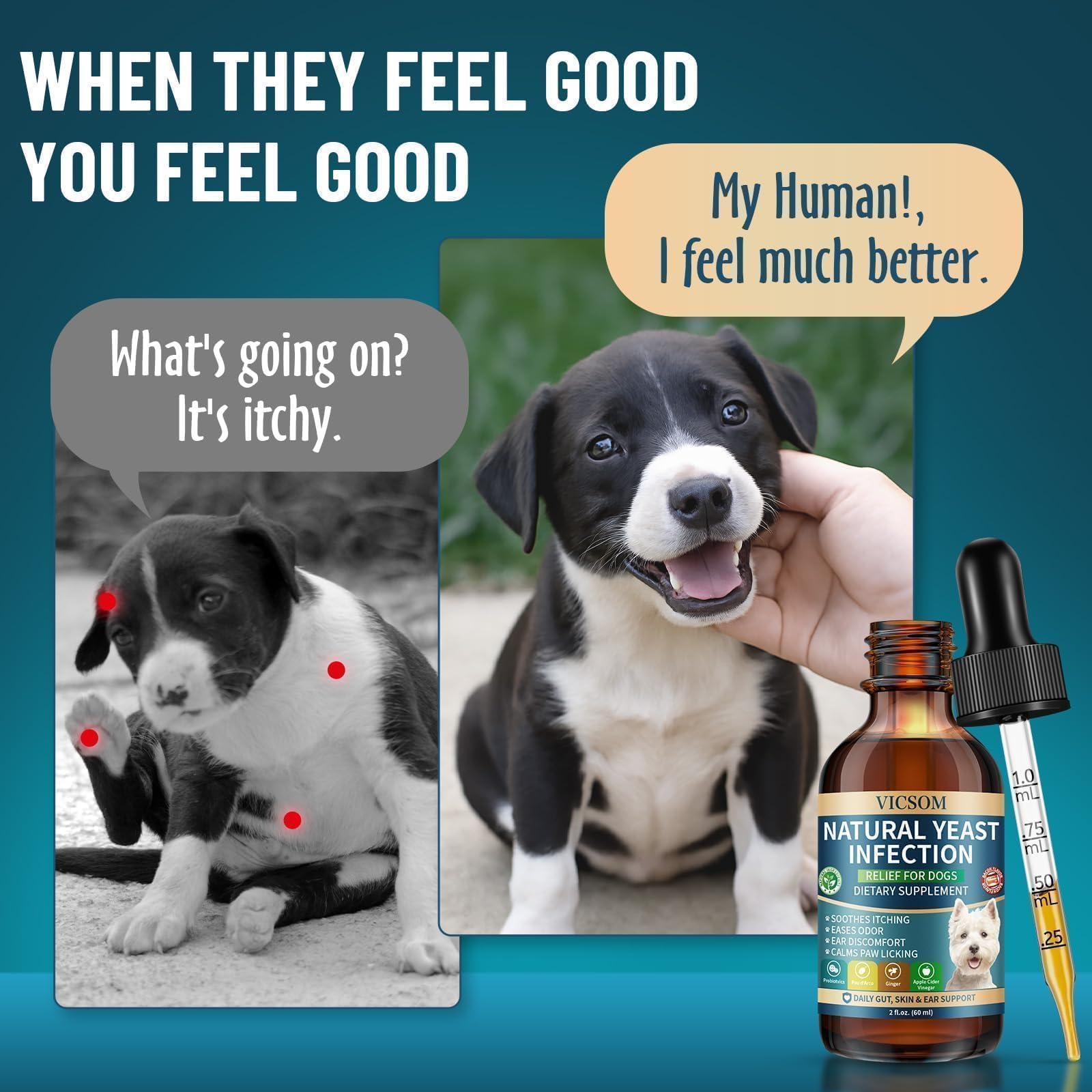 VICSOM digestive-support for dogs depicting internal balance and gut comfort.
