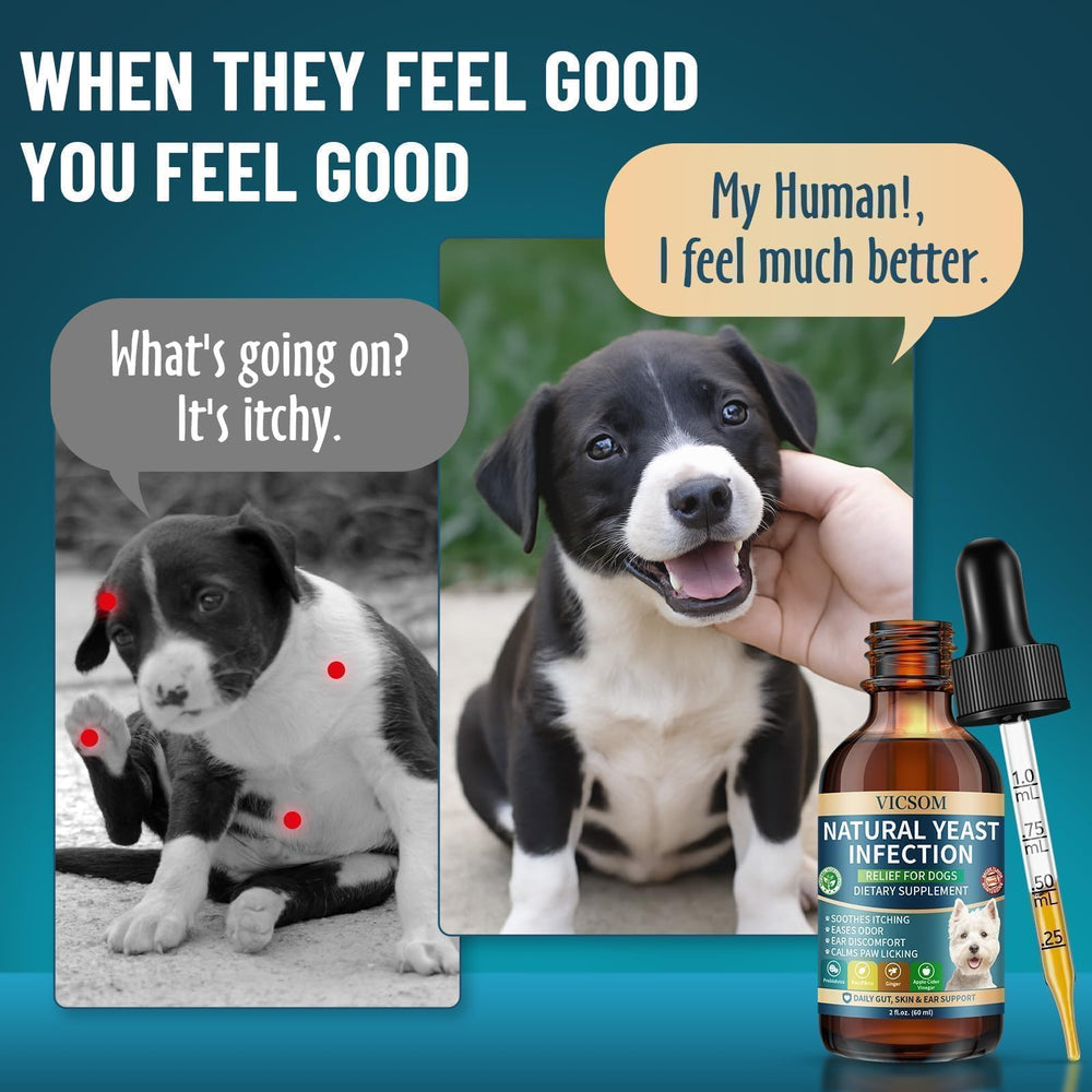 VICSOM digestive-support for dogs depicting internal balance and gut comfort.