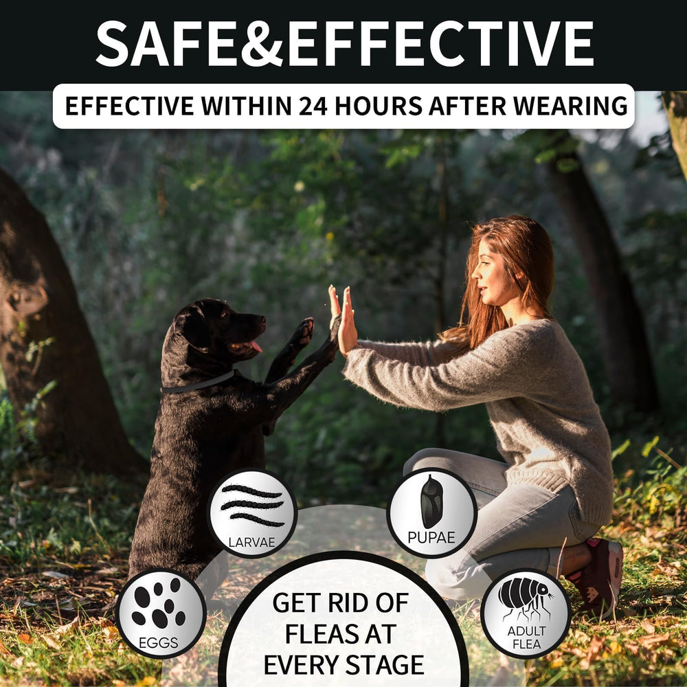 VICSOM soft silicone edges collar reduces irritation for comfortable wear