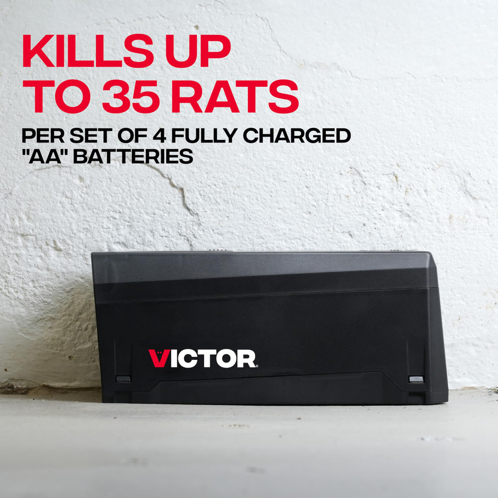Victor M241B mounted along a wall for effective indoor rodent control.