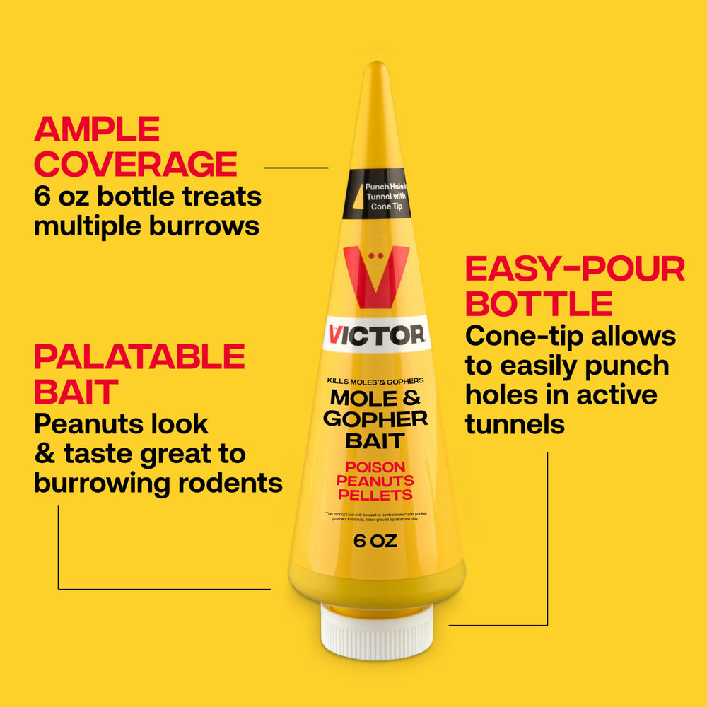 Victor M6006 6-oz peanut bait ready to attract rodents