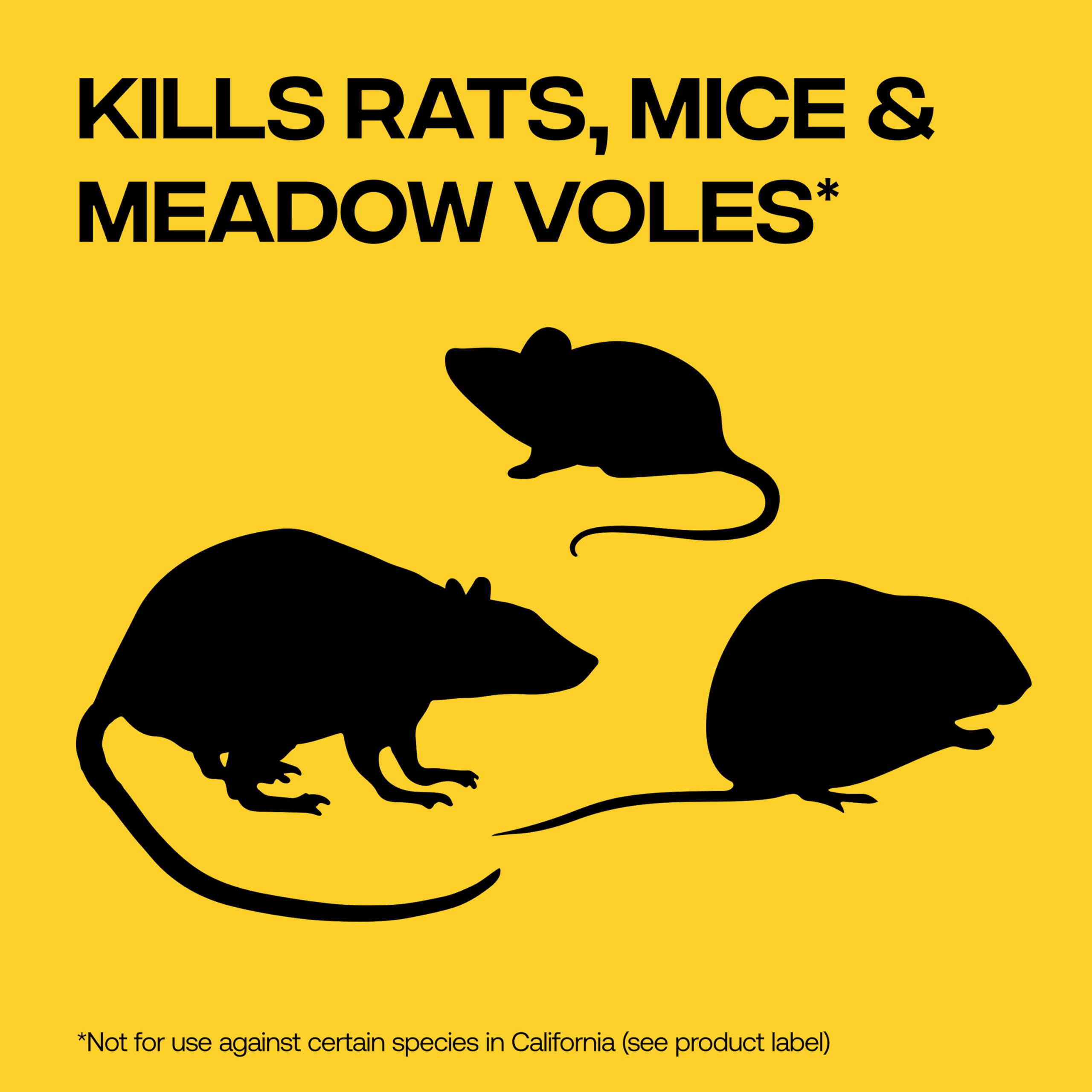 Victor rat poison indoor bait balls for rodent control in homes.