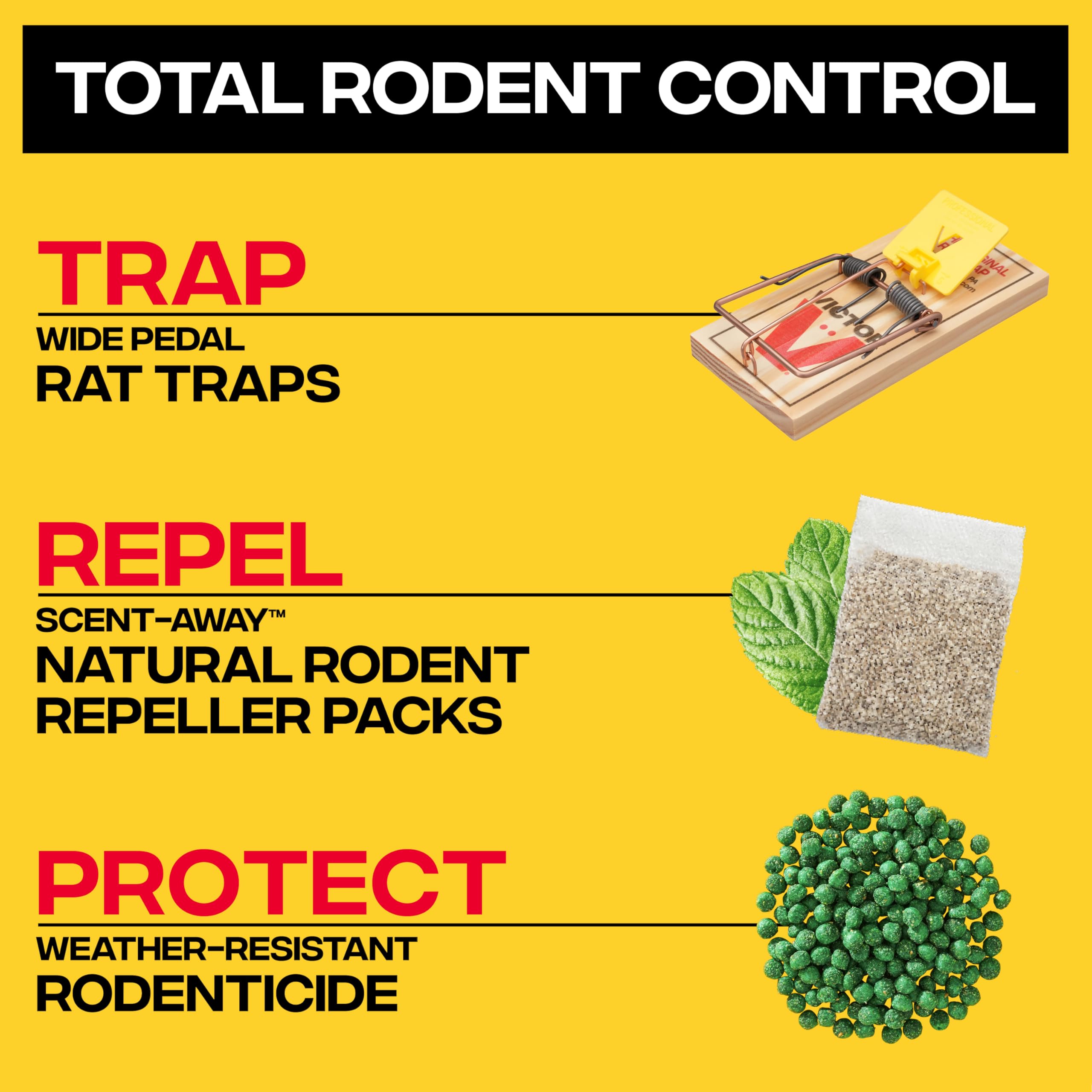 Victor trap placed along wall to target rodent pathways.