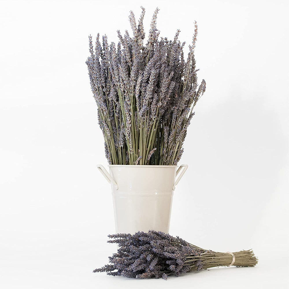 Victoria's Lavender gift serenity spray offers a thoughtful lavender-themed present.