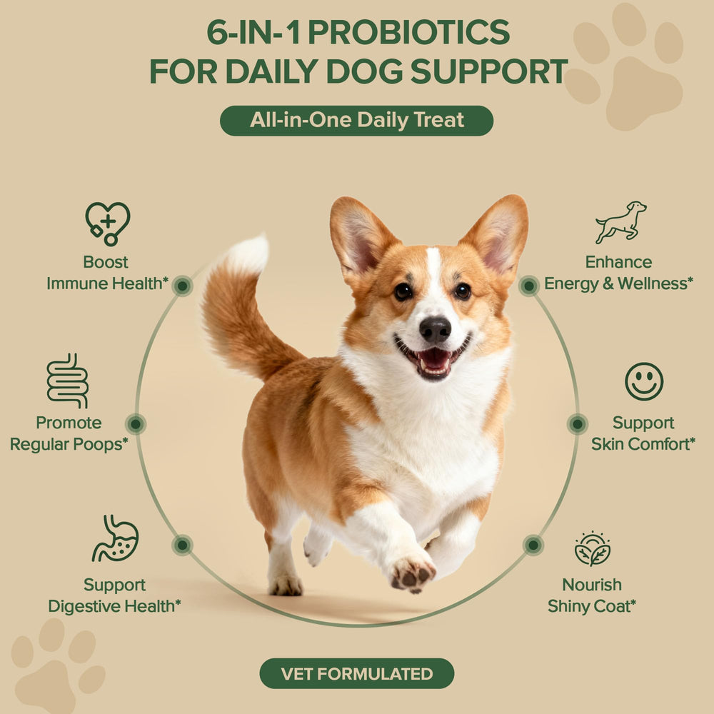 VientoSeek probiotic chews in duck flavor are easy to bite for dogs.