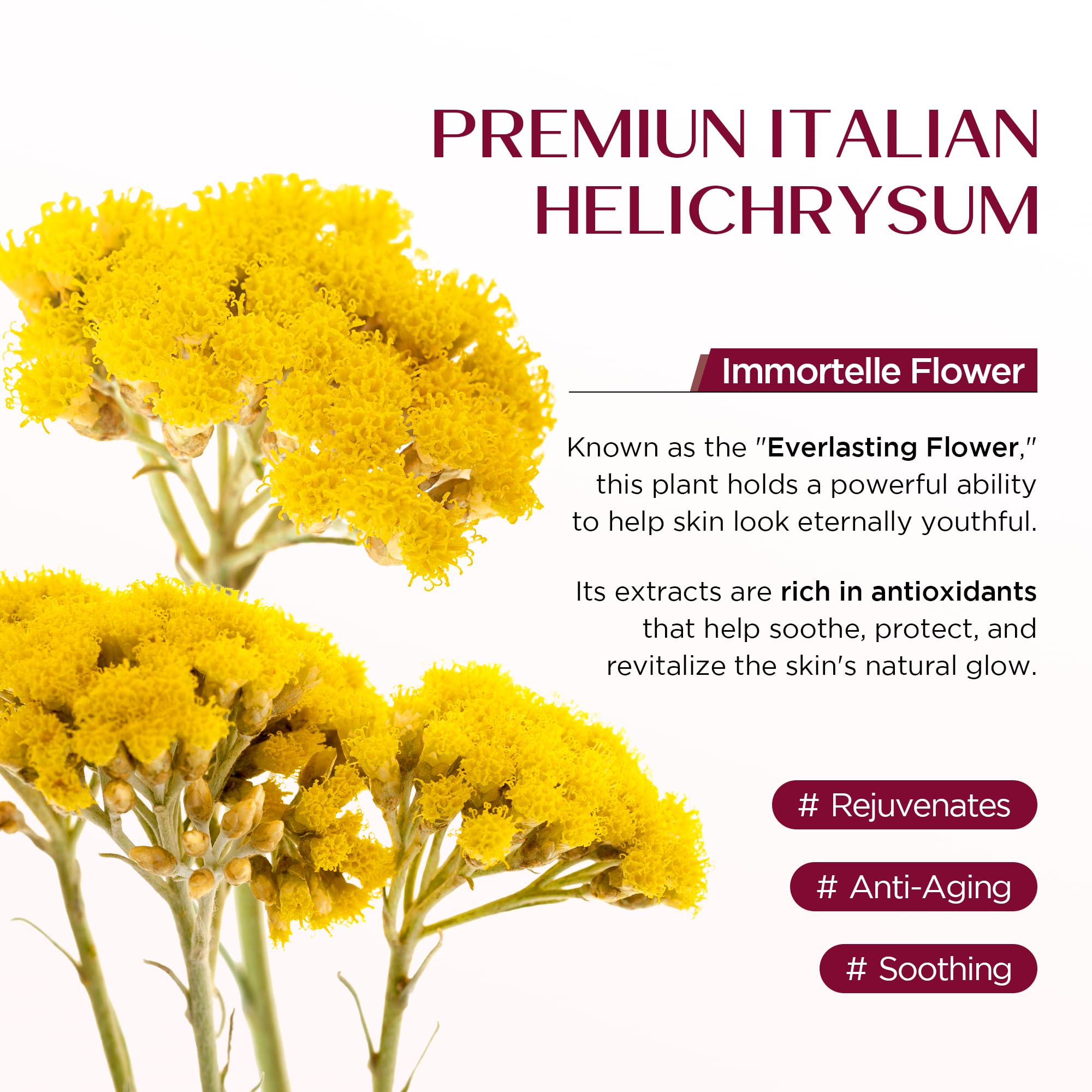 Vigority Helichrysum Balm nourishing mature skin and supporting hydration.